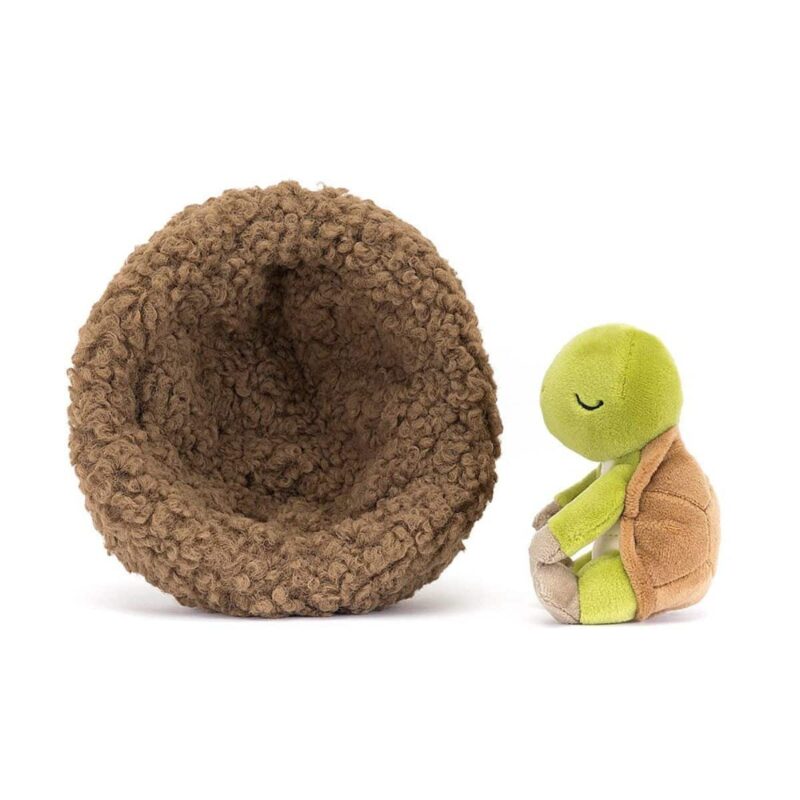 Hibernating Tortoise - Image 2