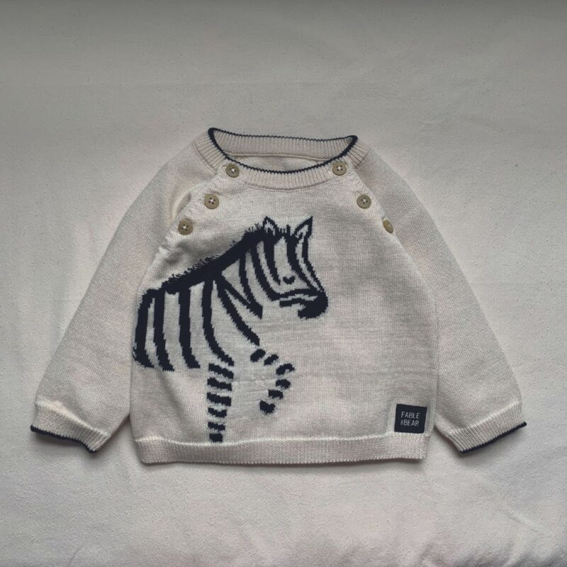 Lucky Zebra Jumper - Image 4