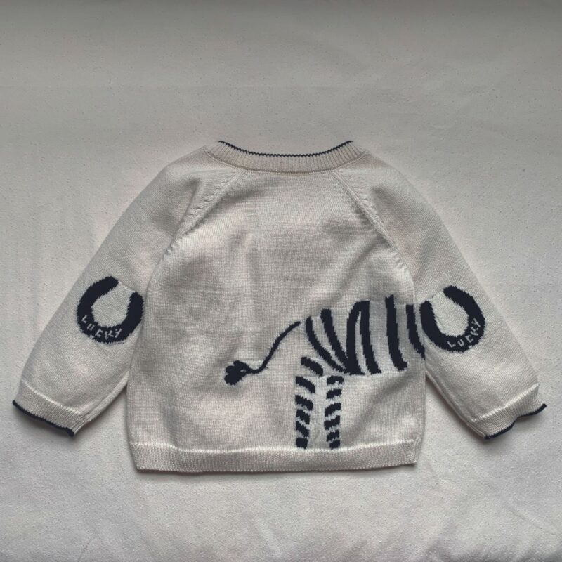 Lucky Zebra Jumper - Image 3