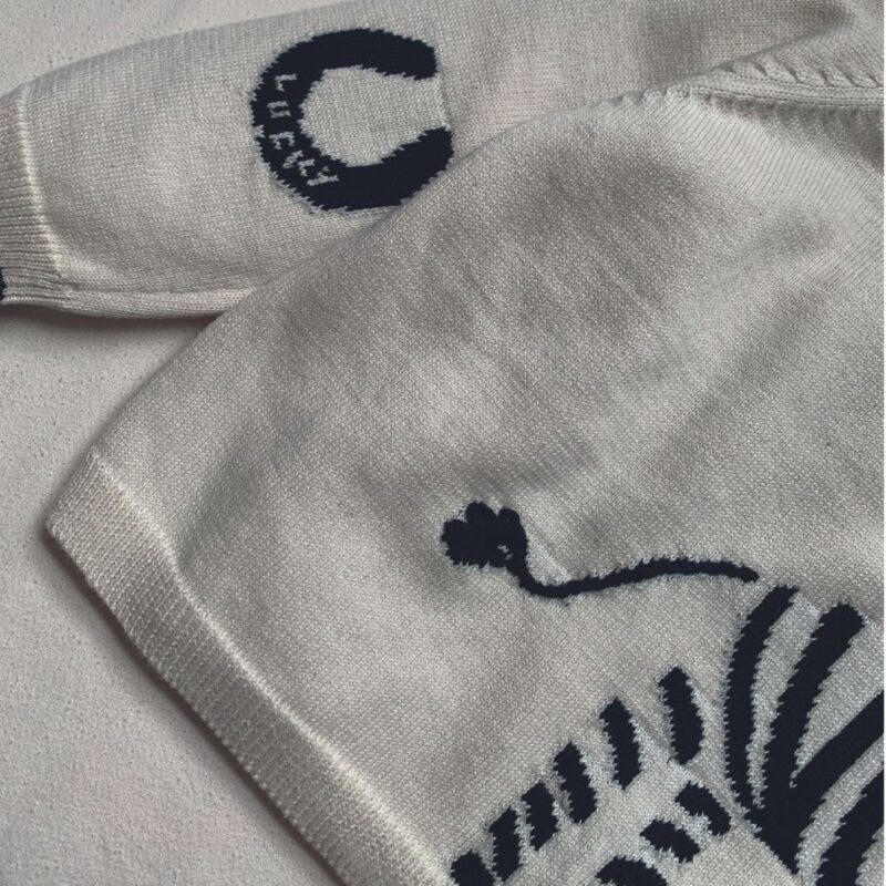 Lucky Zebra Jumper - Image 2
