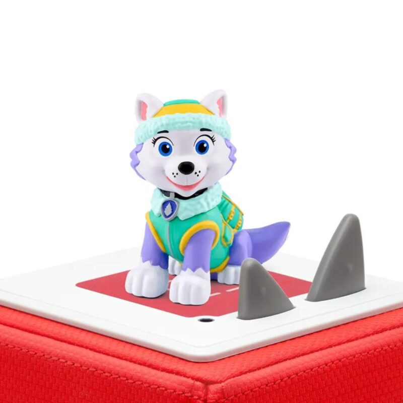 Everest PAW Patrol