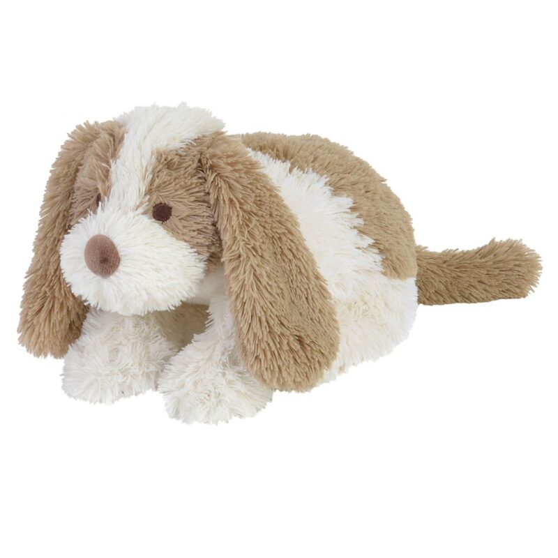 Dog David Small