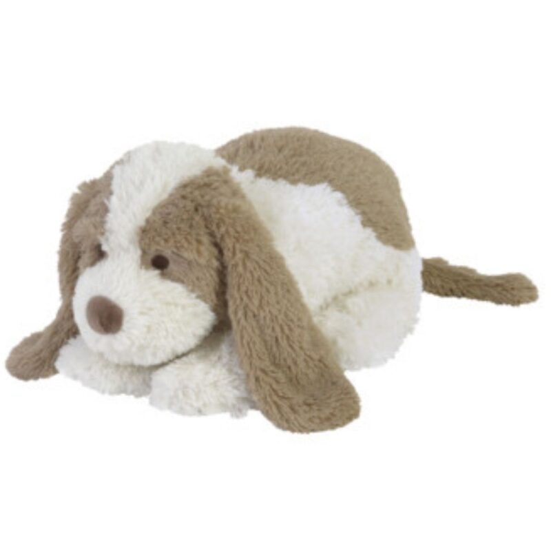 Dog David Medium