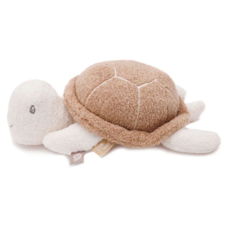 Activity Toy Deepsea - Turtle