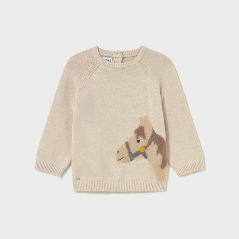 Horse Jumper