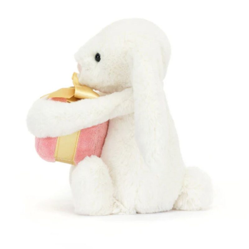 Bashful Bunny With Present - Image 2