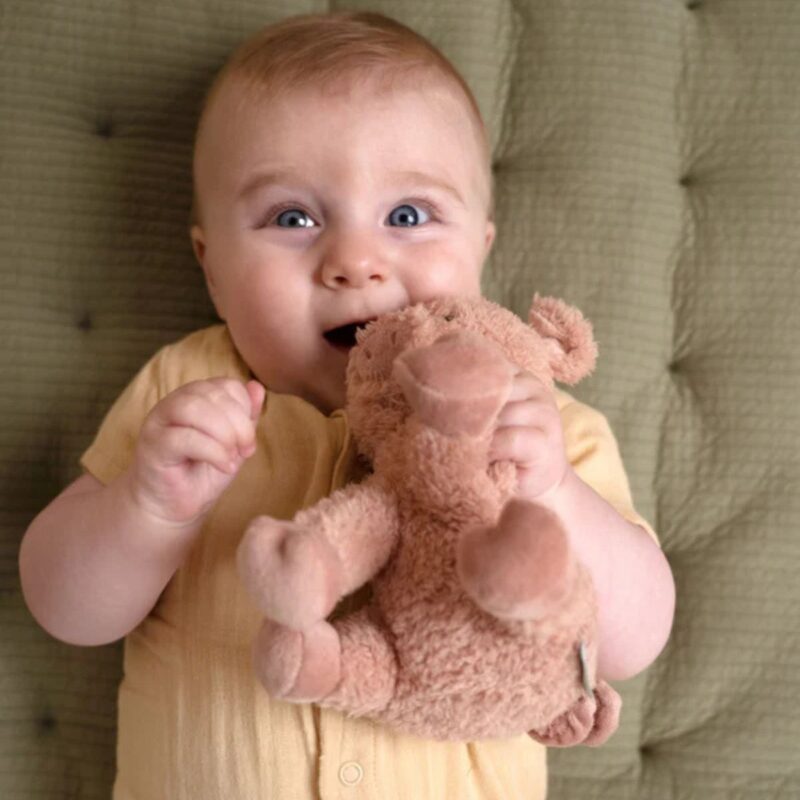 Cuddle Pig 17cm Little Farm - Image 2