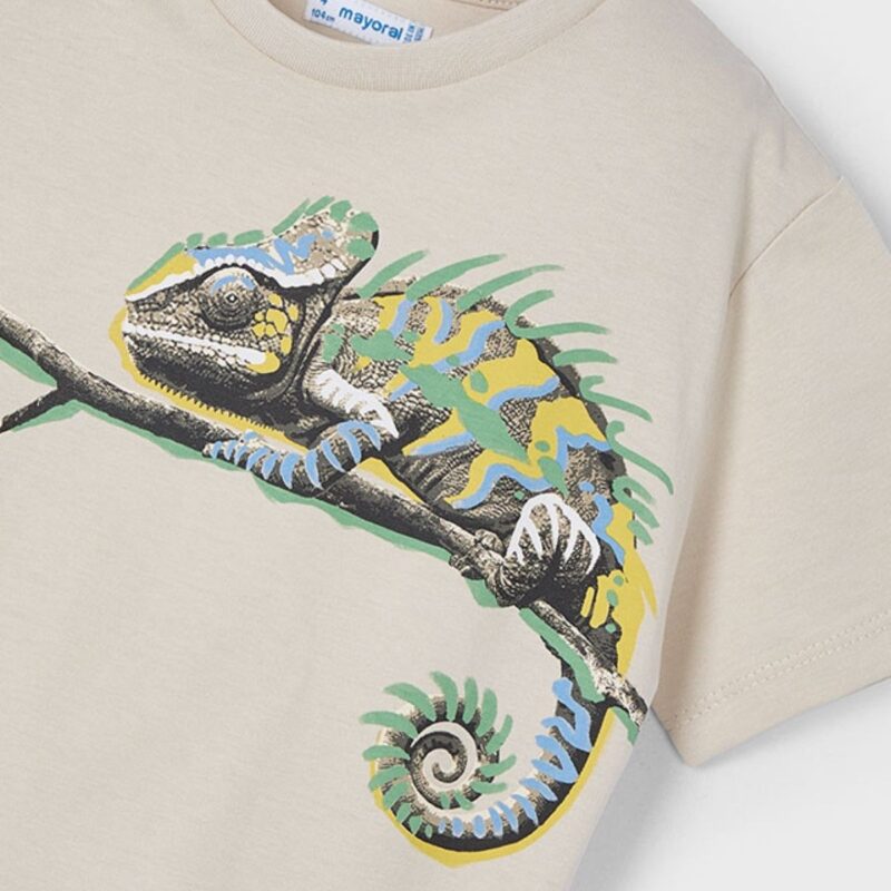 Boy Chameleon T-Shirt - Image 3