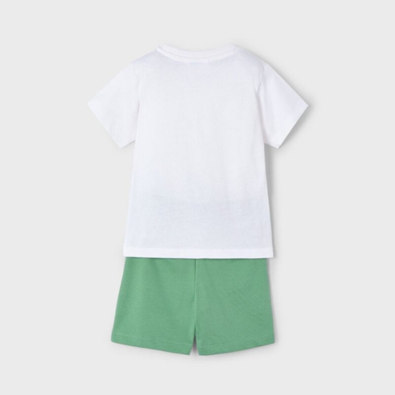 Boy Turtle Print Shorts And T-shirt Set - Image 2