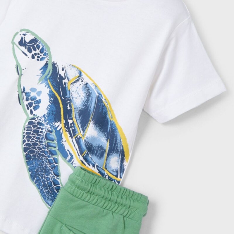 Boy Turtle Print Shorts And T-shirt Set - Image 3