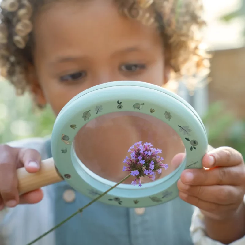 Magnifying glass - Forest Friends - Image 3