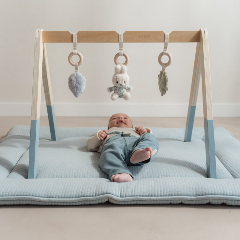 miffy babygym - Lucky Leaves - Image 2