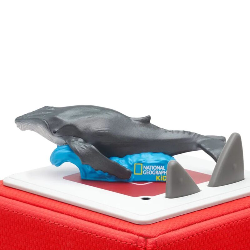Whale Nat Geo