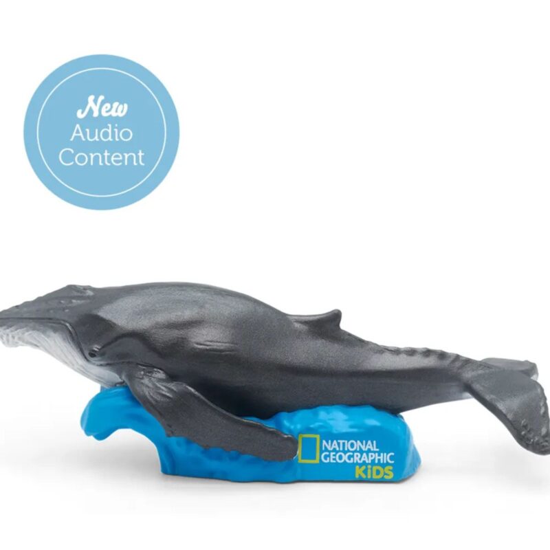 Whale Nat Geo - Image 2