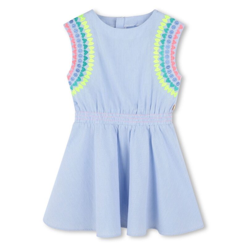 Blue  Dress With Multicolour Embroidery Detail