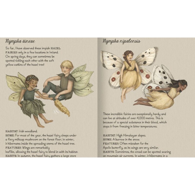 Find The Fairies: A Memory Game (KADDO) - Image 3