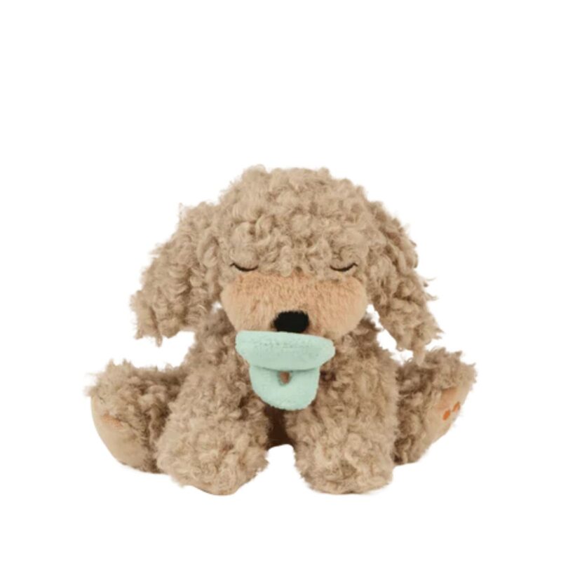 Binky Puppy Benny