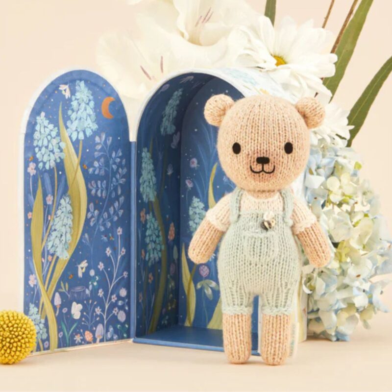 Tiny Charlie the honey bear - Image 3