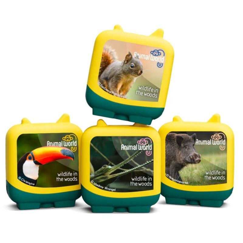Wildlife In The Woods Animal World
