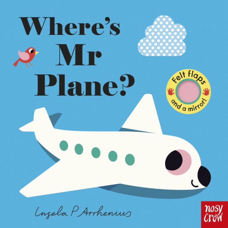 Wheres Mr Plane (FELT FLAPS)