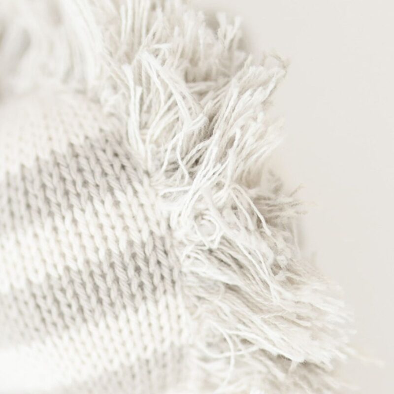 Baby Zebra - Image 3
