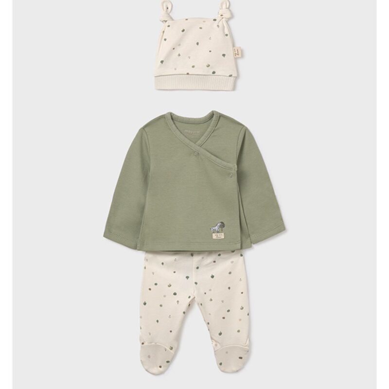 Baby Zebra  Sage unisex 3 piece gift set