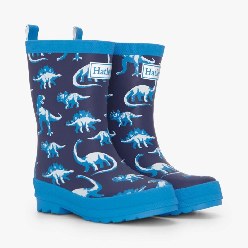 Boys Painted Dinos Matte Wellies