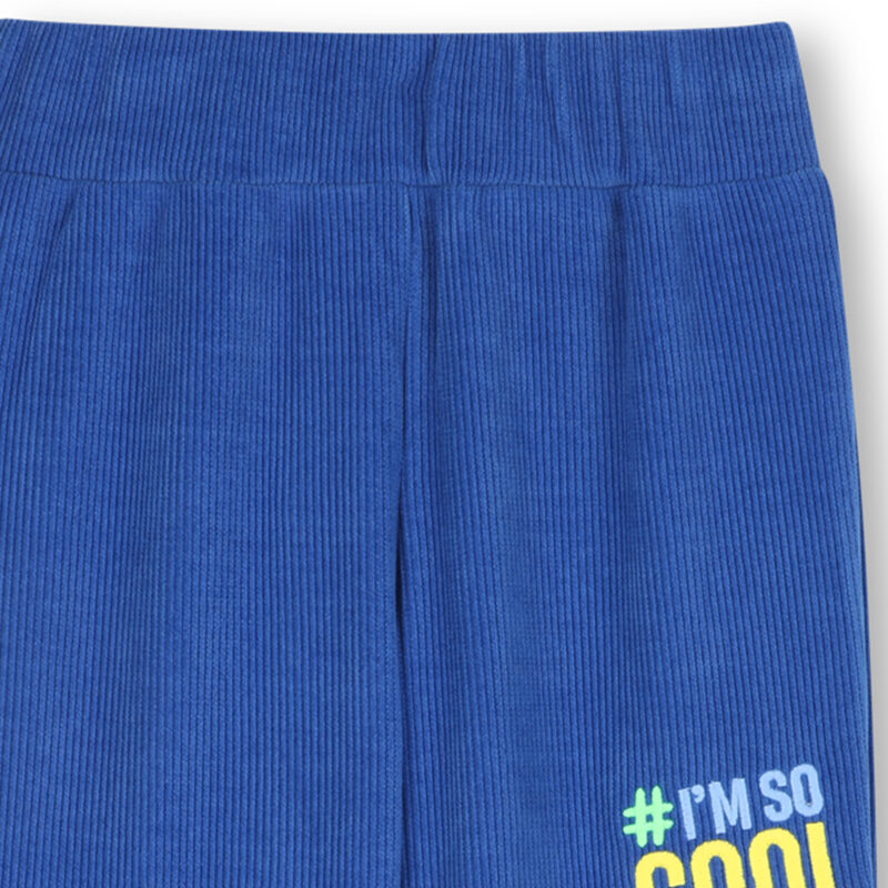 Blue Corduroy Embroidered Sweatpants - Image 3