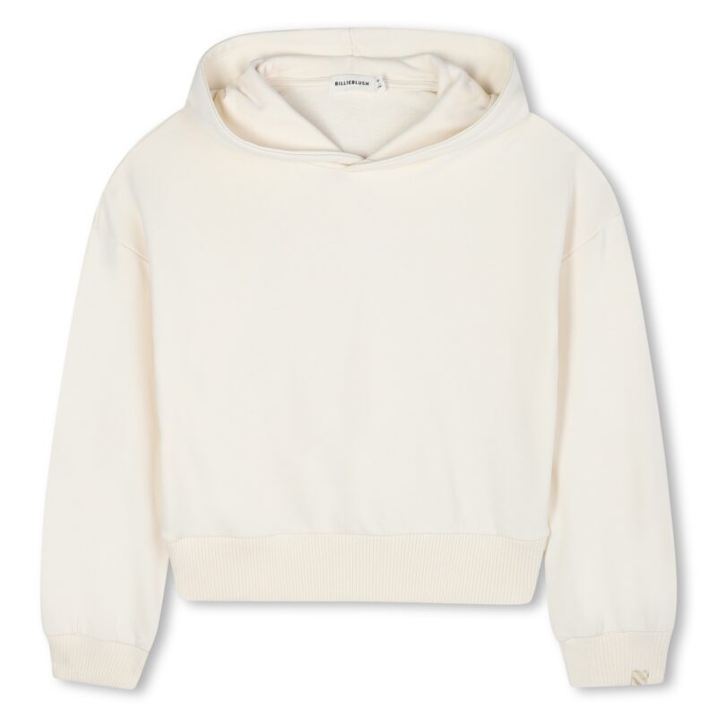Stone Hooded Sweatshirt