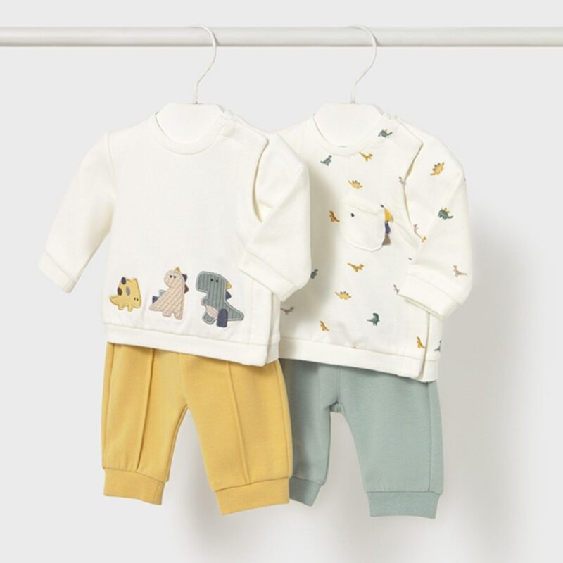 Newborn 4 piece dinosaur set