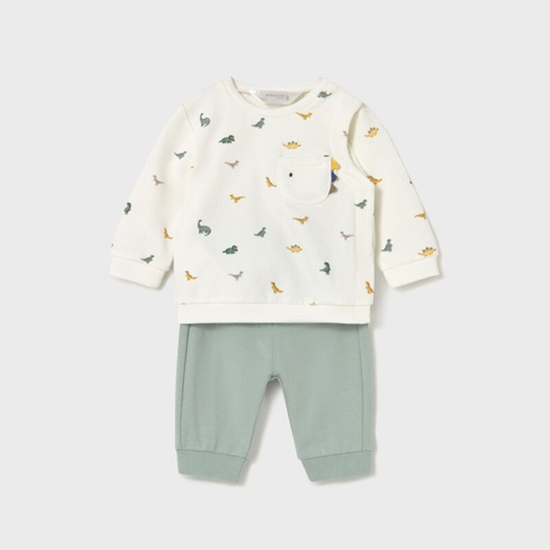 Newborn 4 piece dinosaur set - Image 2