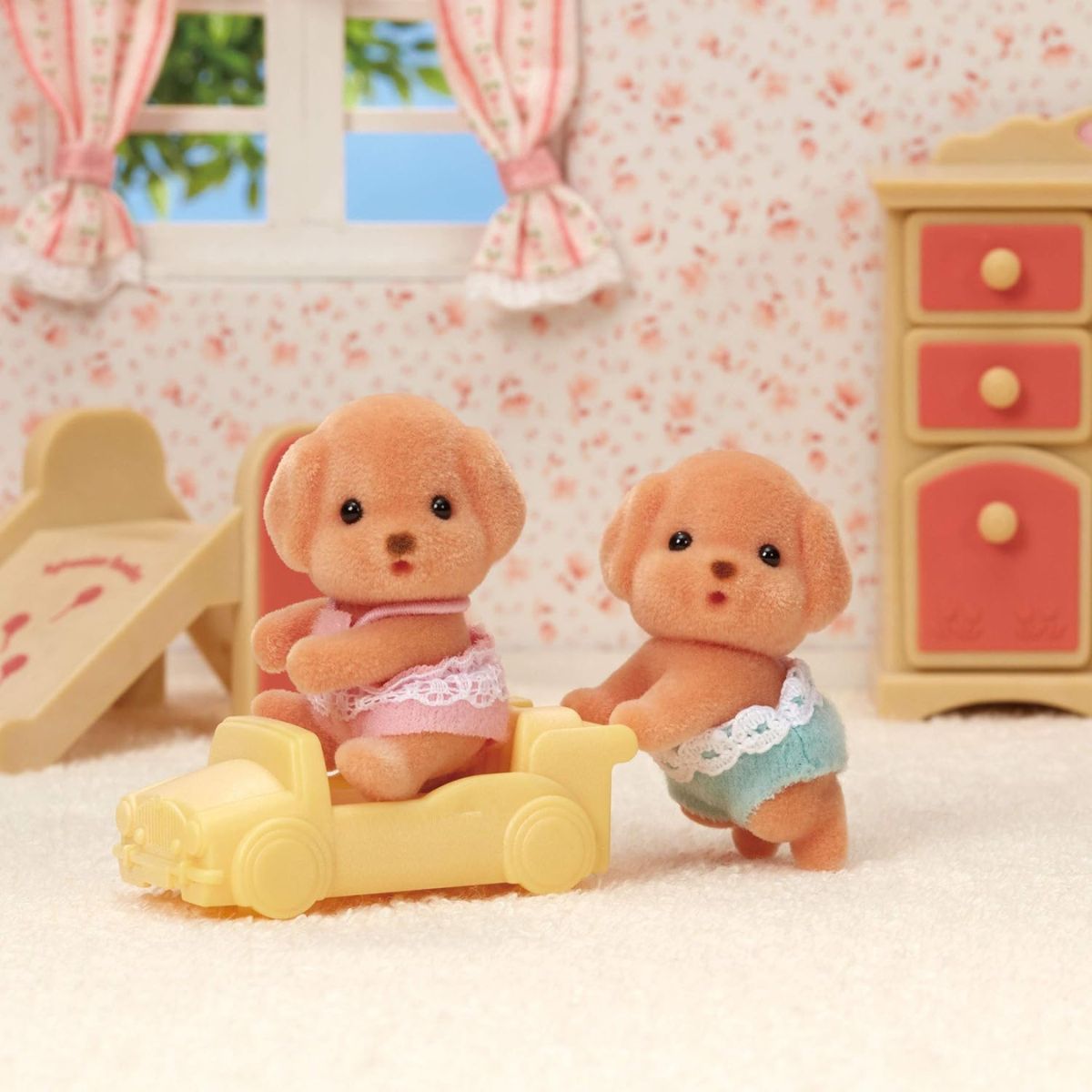 Toy Poodle Twins - Image 2