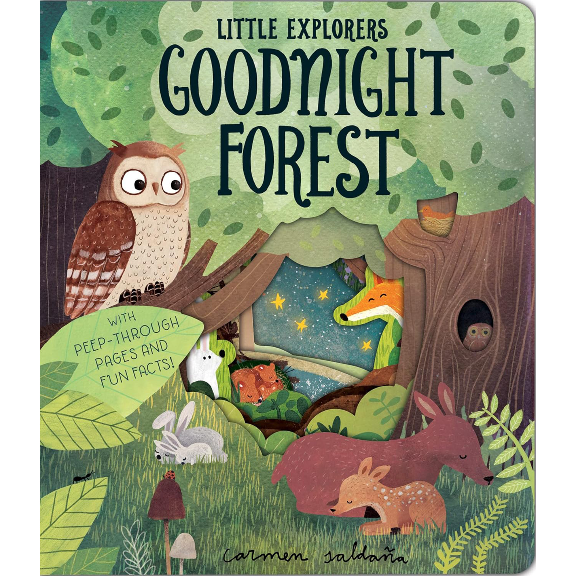 Goodnight Forest