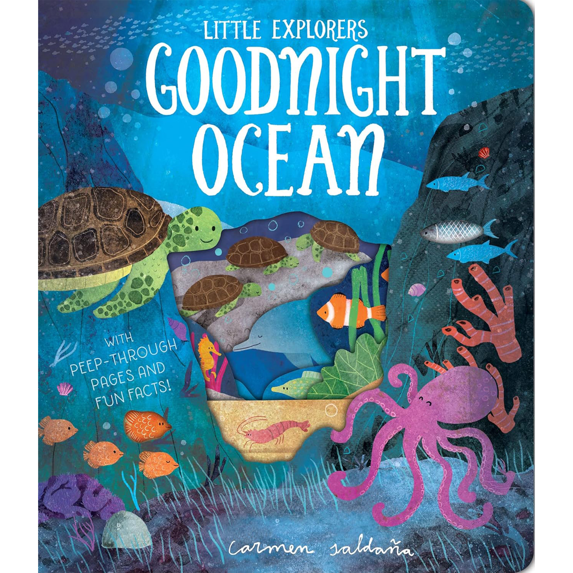 Goodnight Ocean