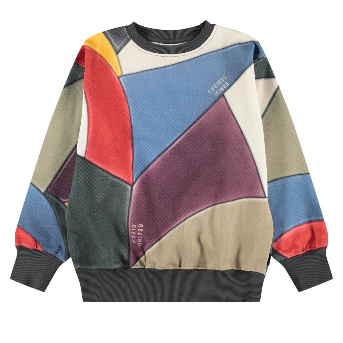 Boys Multicolor Geometric Abstract "Curious Minds" Organic Cotton Sweatshirt