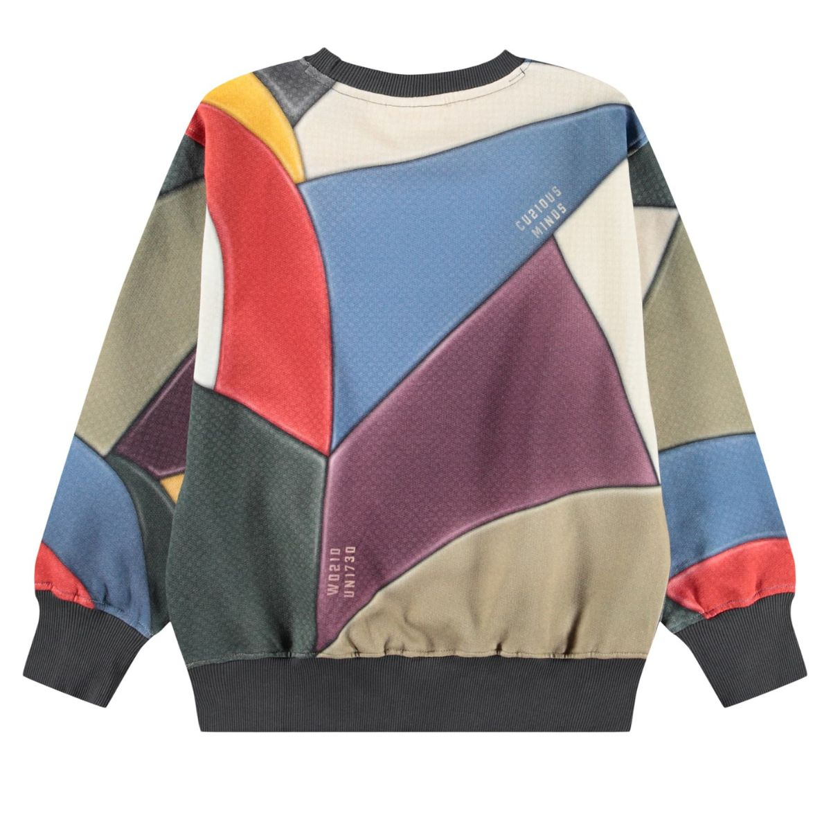 Boys Multicolor Geometric Abstract "Curious Minds" Organic Cotton Sweatshirt - Image 2
