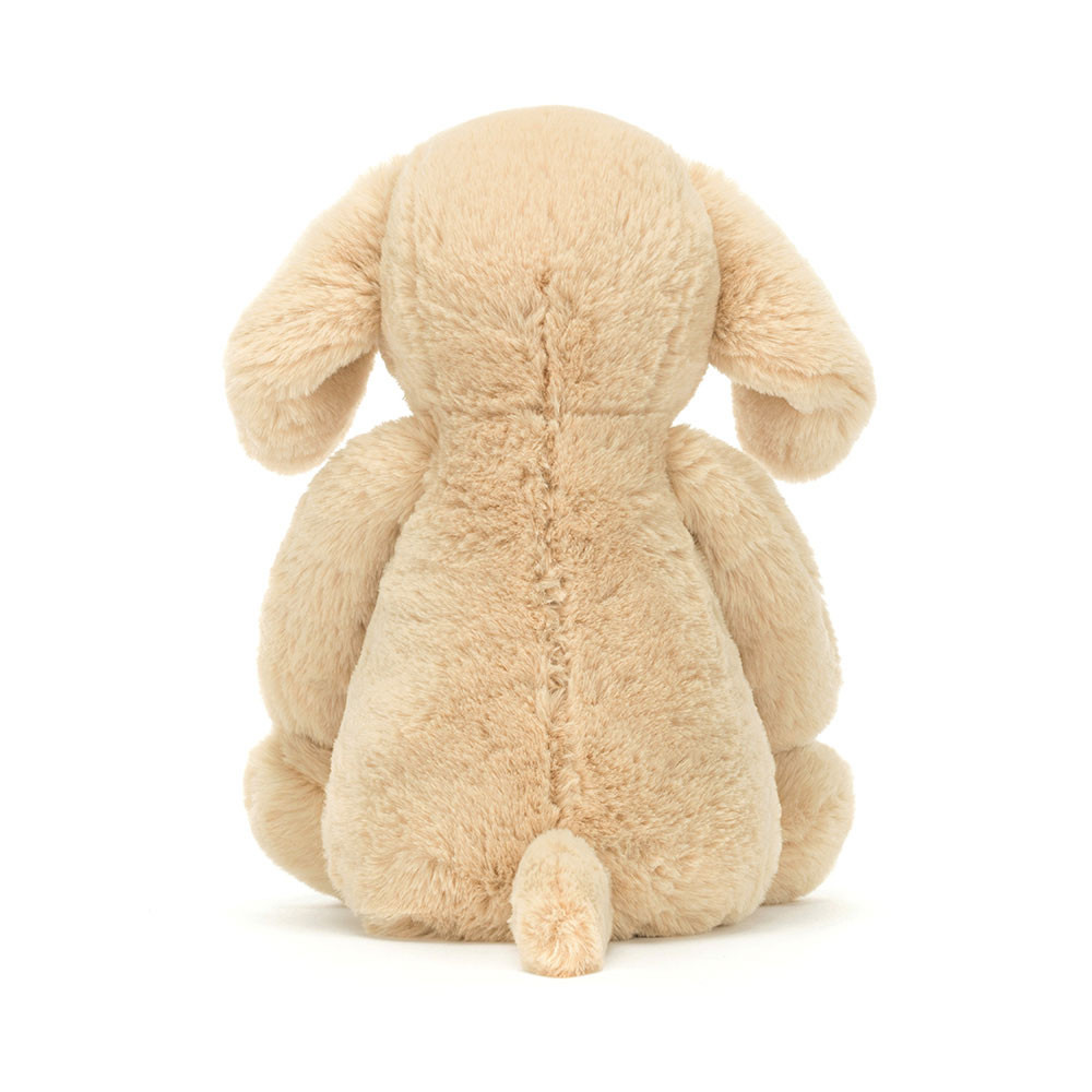 Bashful Luxe Puppy Orlando - Image 2