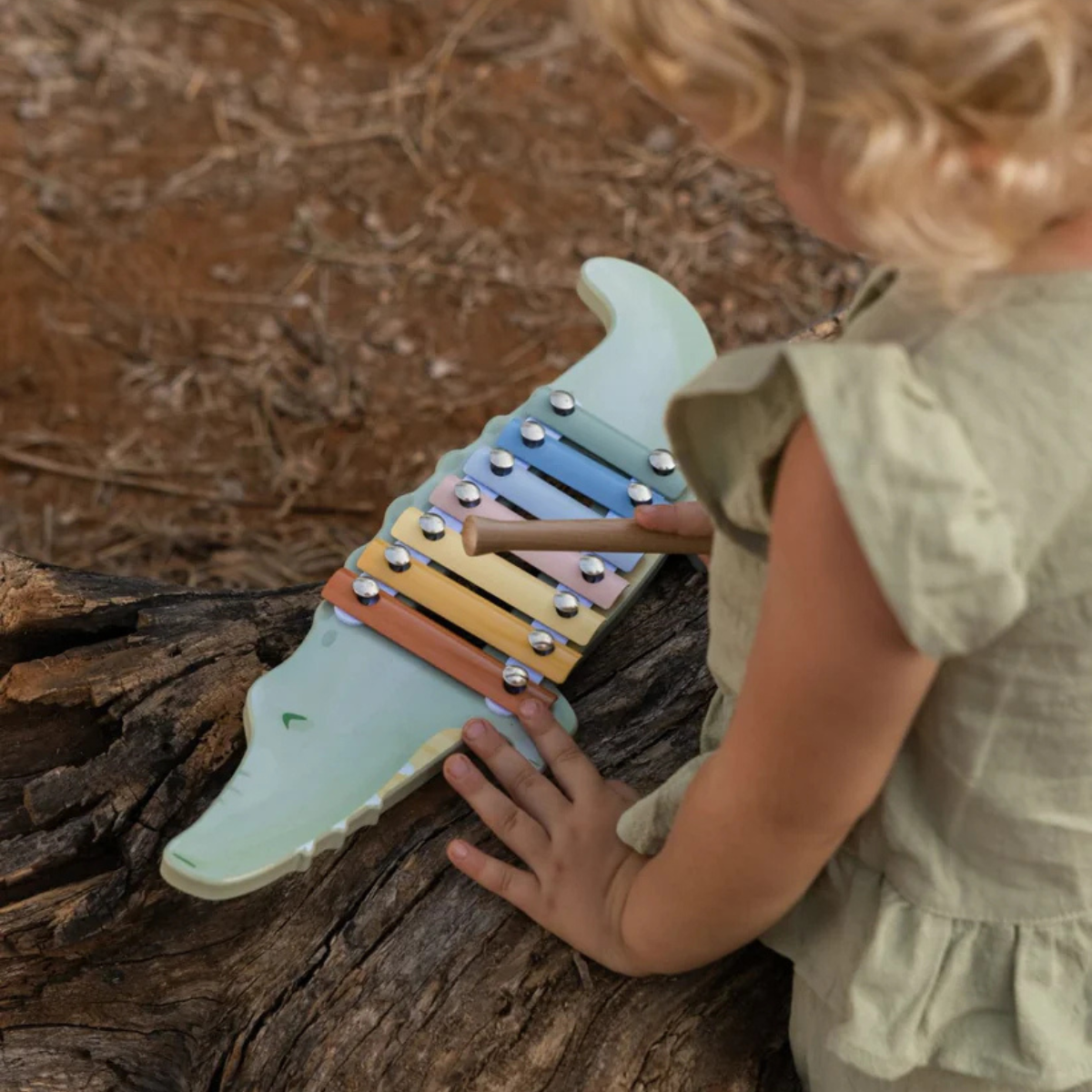 Xylophone Crocodile - Safari Friends - Image 2