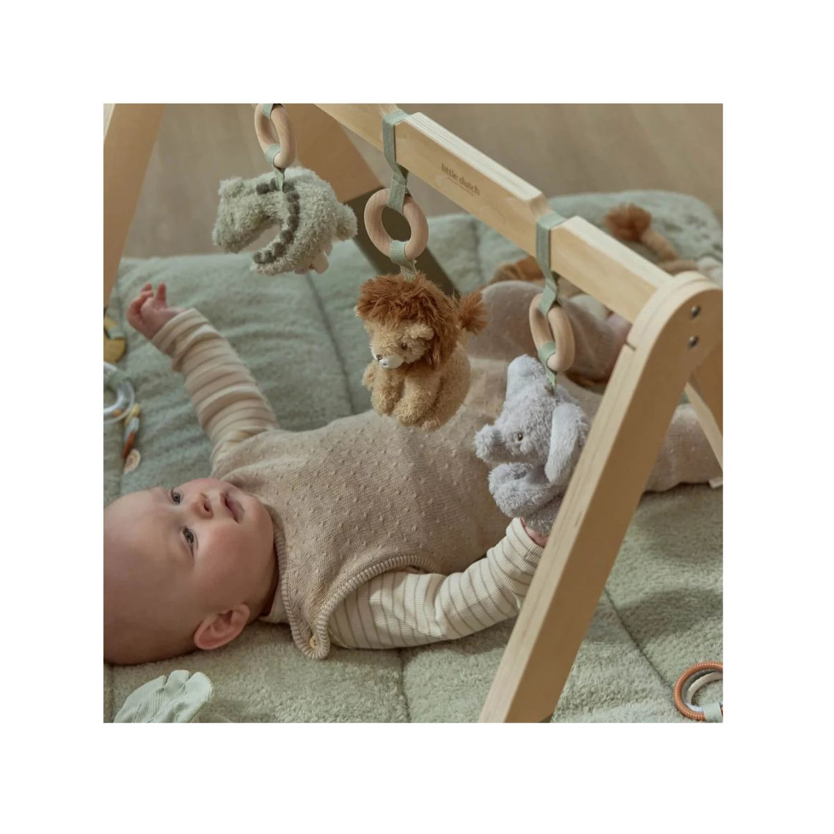 Baby Gym - Safari Friends - Image 2