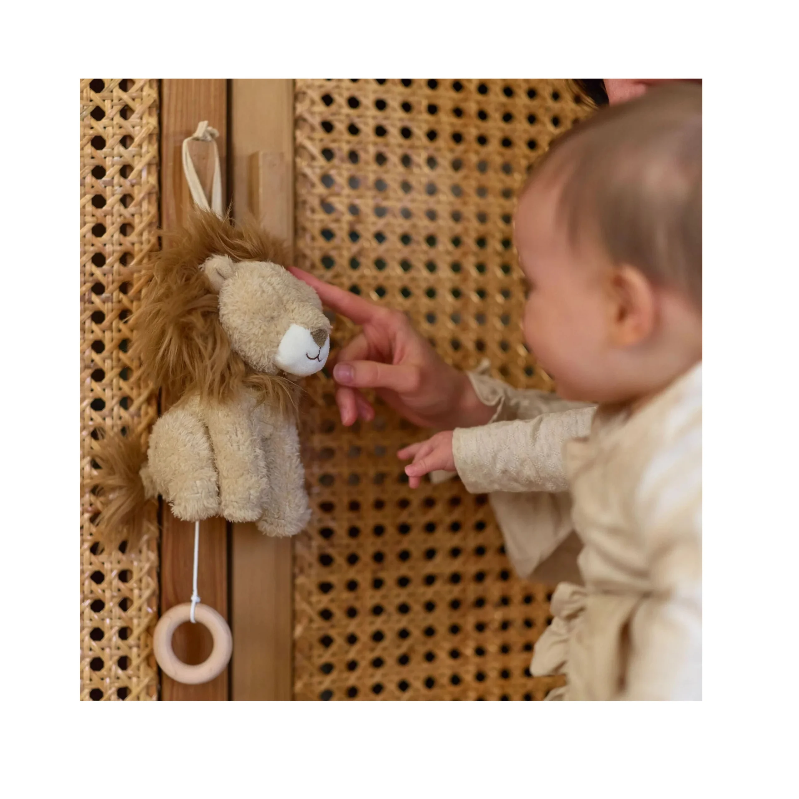 Music Box – Lion Safari Friends - Image 3