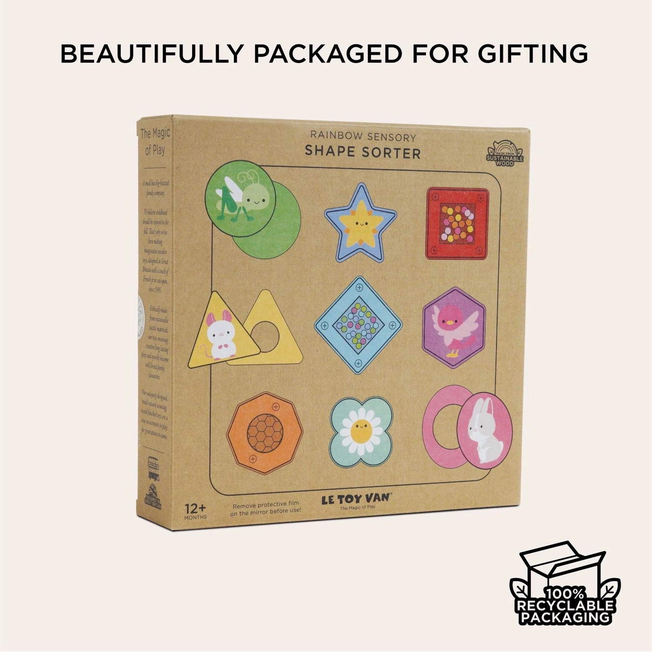 Rainbow Sensory Shape Sorter