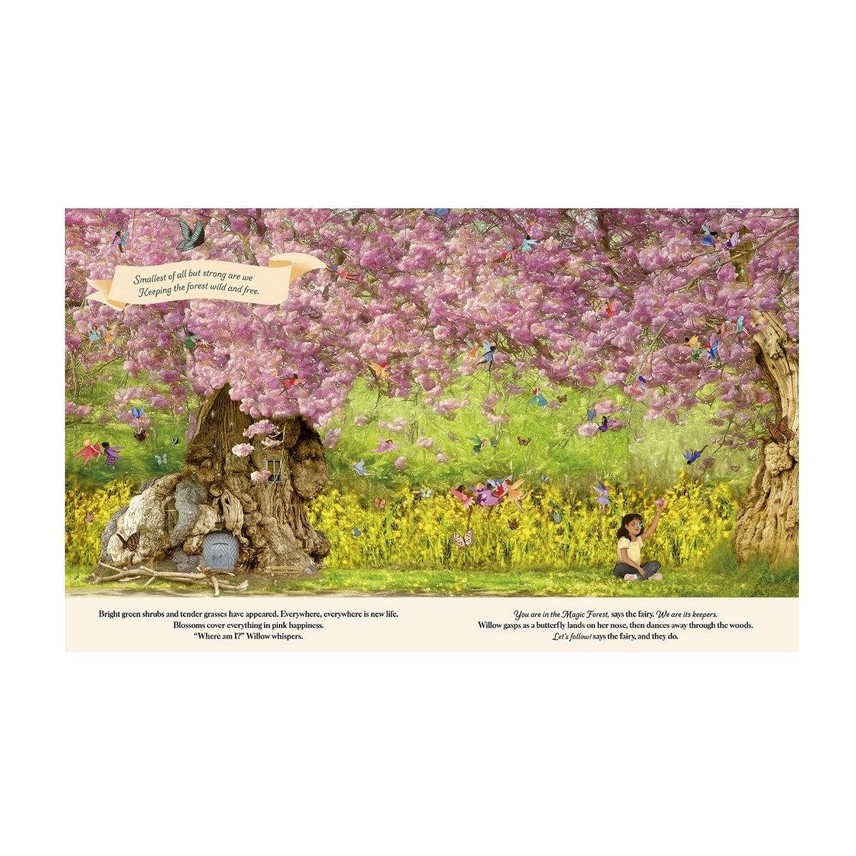 Through The Fairy Door (Magic Cat) (HB) - Image 2