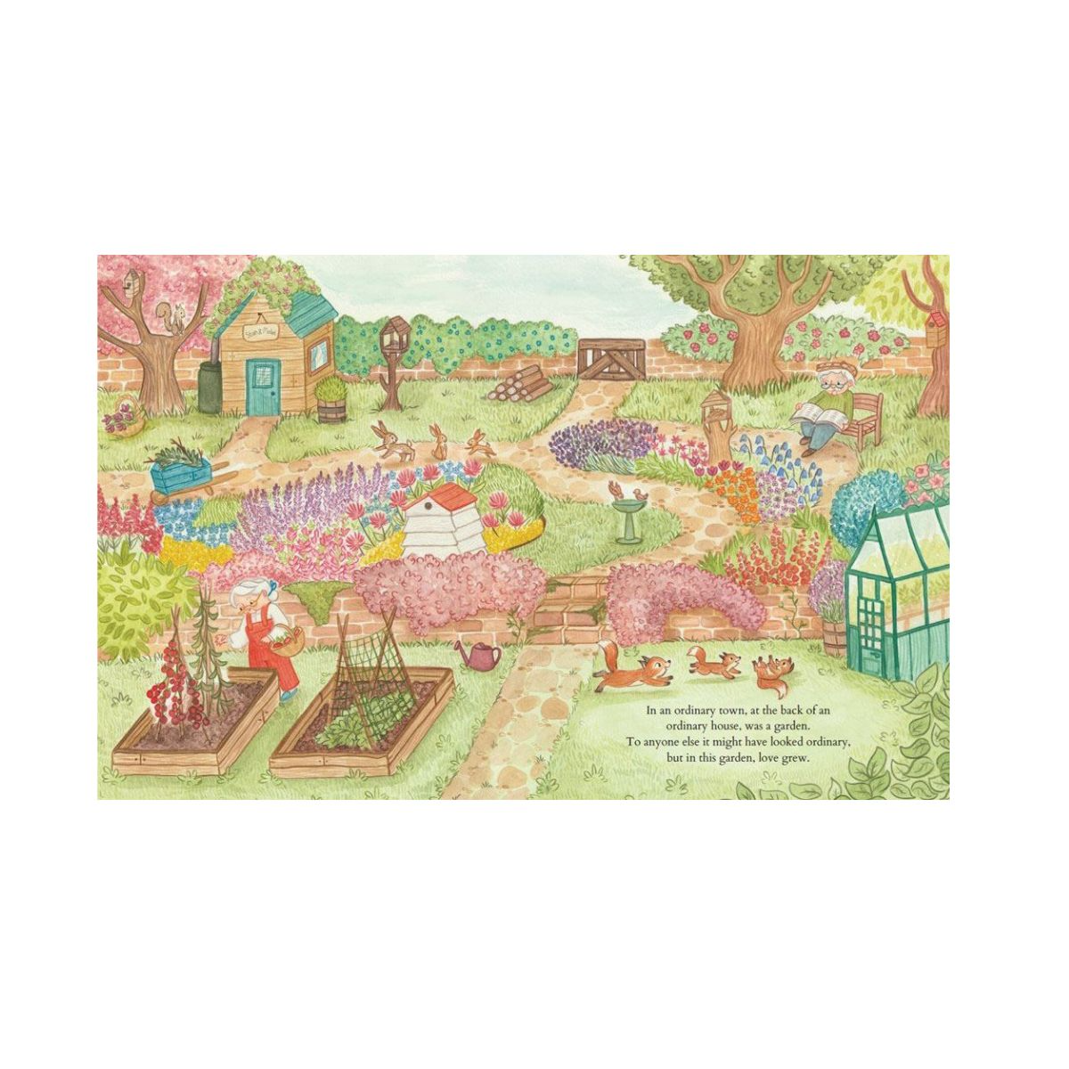 Love Grows Here (Magic Cat) (PB) - Image 3