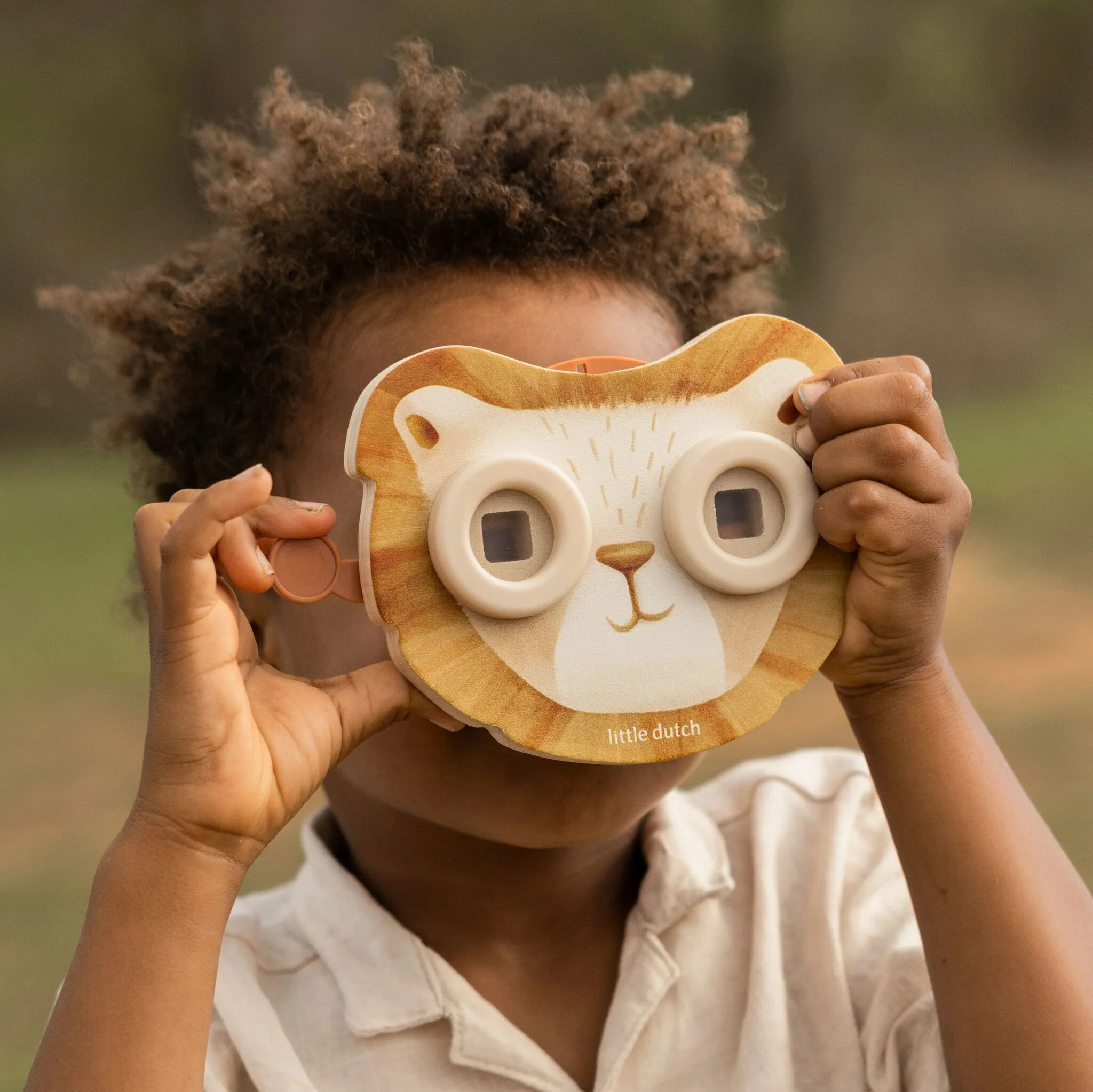 Safari Friends Story Viewer Lion - Image 3