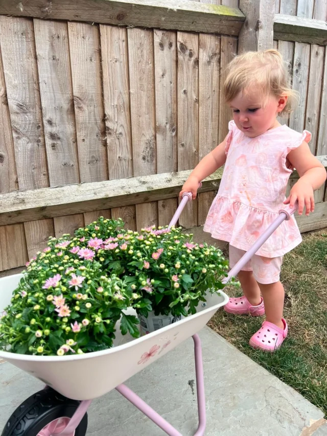 The sweetest little gardener 🪴🪏🌸

A beautiful summer’s afternoon with the Little Dutch Fairy Garden Wheelbarrow 🥰

Thank you for sharing @thefloristgate_ 📸

#littledutch #kidsgardening #kidswheelbarrow #kidsactivity #kidssummer